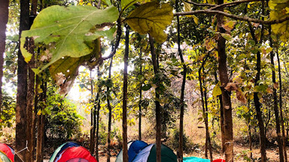 Bhimson's Agro Park & Tourism