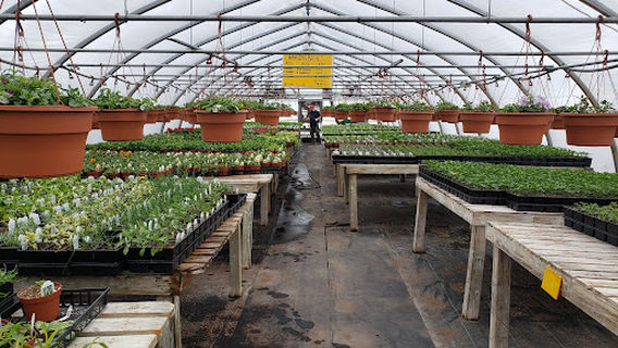 D & L Nurseries