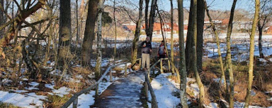 Schopflocher Moor (Torfgrube)