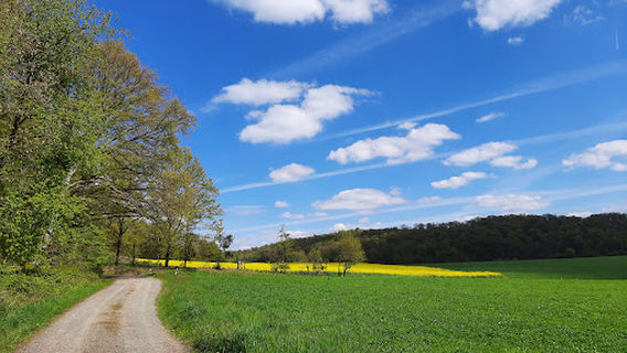 Dicke Eiche, Naturlehrpfad Selters