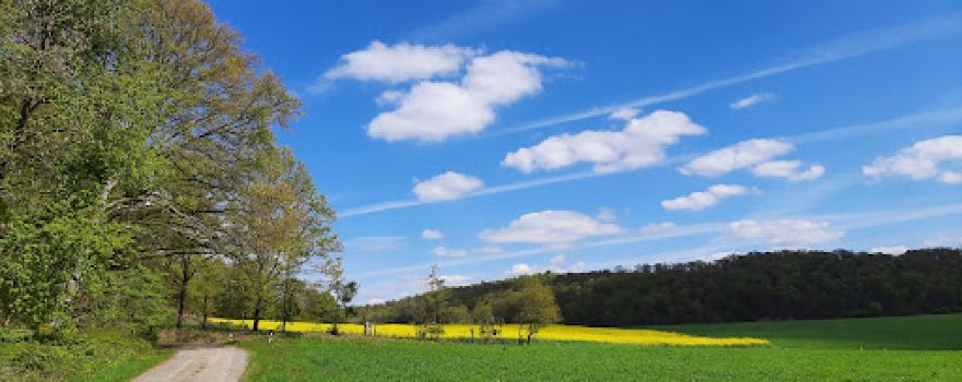 Dicke Eiche, Naturlehrpfad Selters
