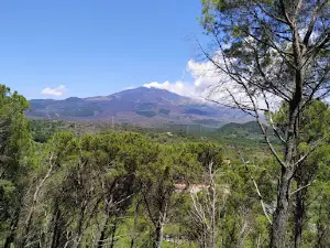 Pineta Monti Rossi