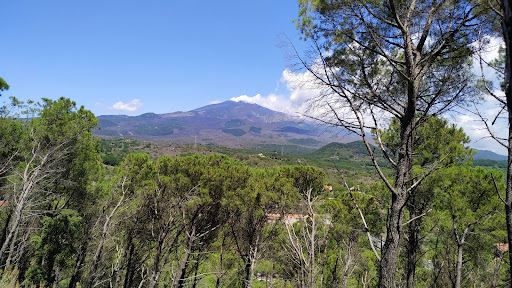 Pineta Monti Rossi