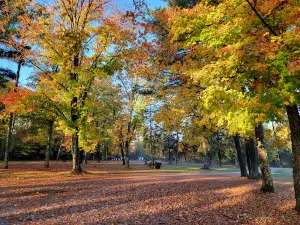 Serpent River Park