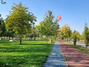 Irlamaz Piknik Alanı