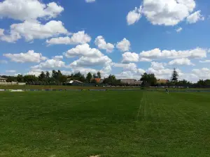 Stadion Im.bobrovykh