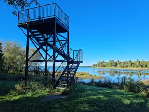 Luther Marsh Wildlife Management Area
