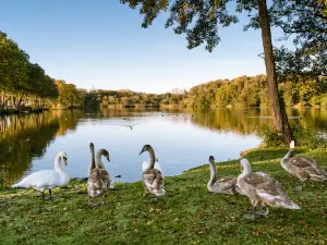 Pearl Lake Country Holiday Park