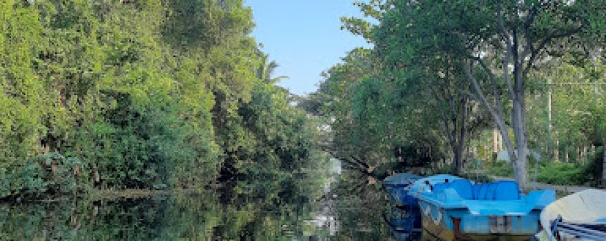 Muthurajawela Visitor Centre මුතුරාජවෙල පරිසර කේන්ද්‍රය