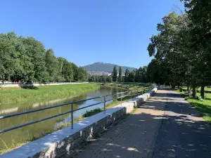 Nitra