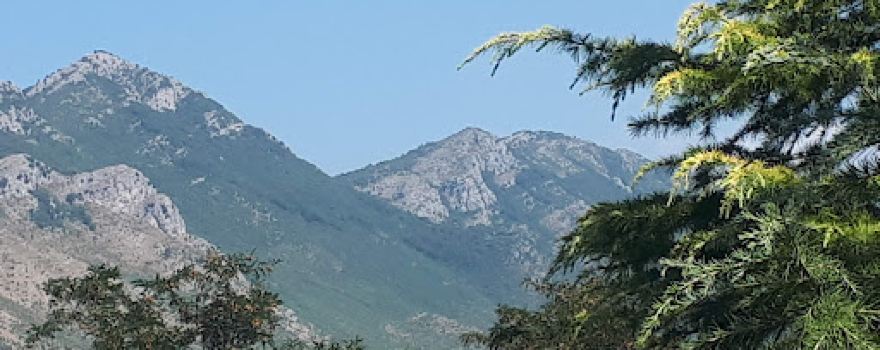 Parco SILVEDIL