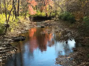 Meadowmere Park