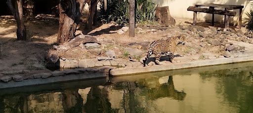 Santa Cruz Municipal Zoo