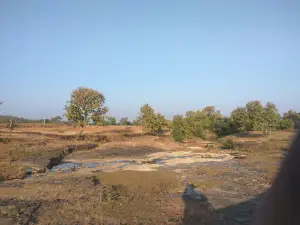 Richhariya Maharaj