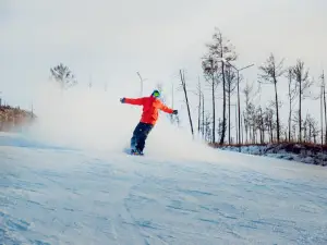 The ski complex "Mountain Light"