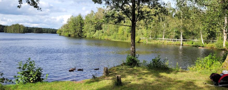 Djurparken Traryds Skans