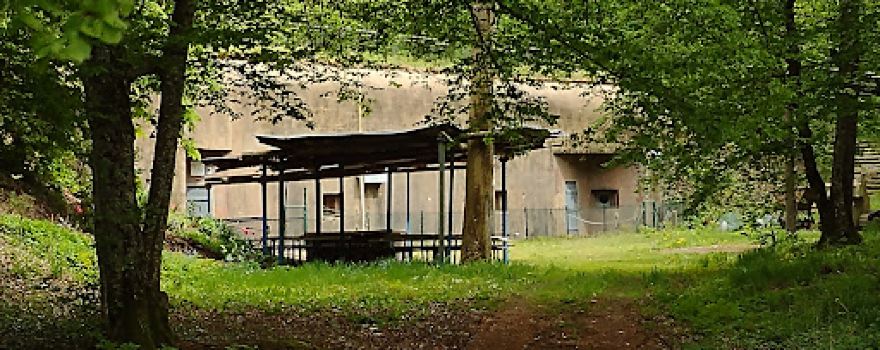 Fort Du Zeiterholz