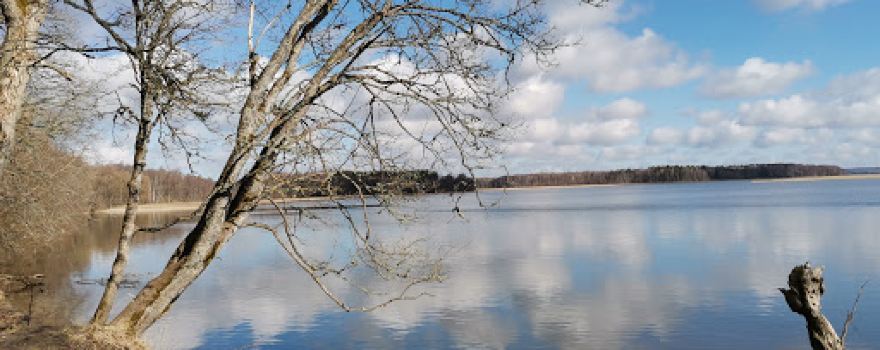 Lake Vištytis