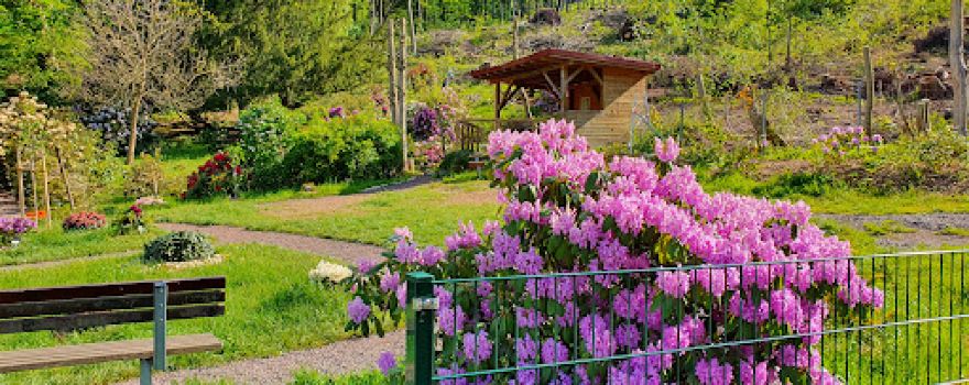 Rhododendron-Garten Bad Tabarz