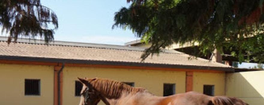 Centro Equestre Le Stelle
