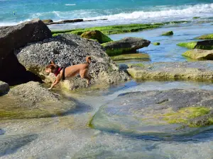 Nitsanim Beach