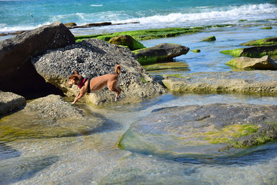 Nitsanim Beach