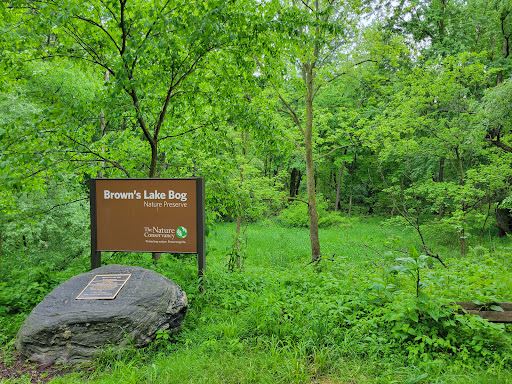 Brown's Lake Bog Preserve