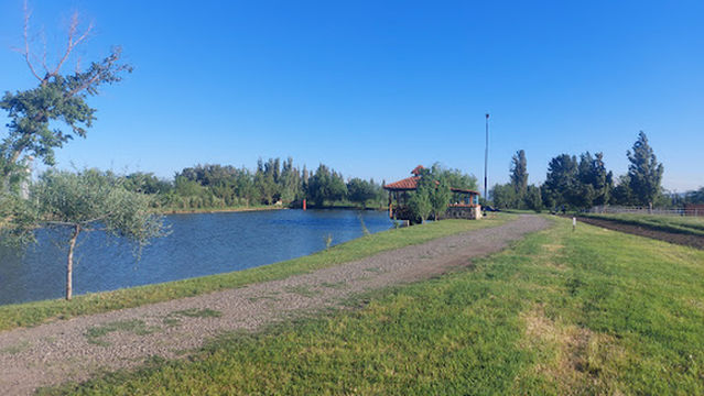 Horse Riding Club "Black Horse"