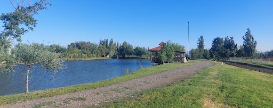 Horse Riding Club "Black Horse"