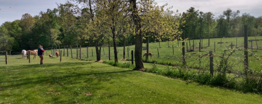 Vogt Farm