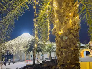 WET N WILD THE FAMILY WATER PARK & RESORTS -SASANGIR,JUNAGADH ,GUJARAT