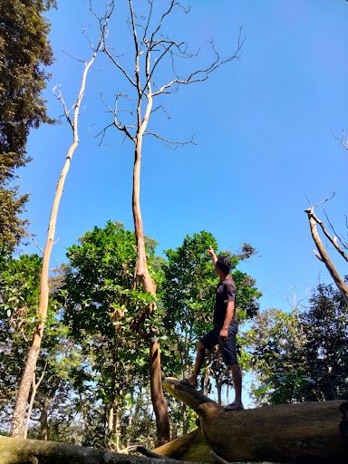 Air Terjun Jeruk Manis