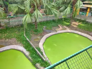Davao Riverfront Crocodile Park & Zoo