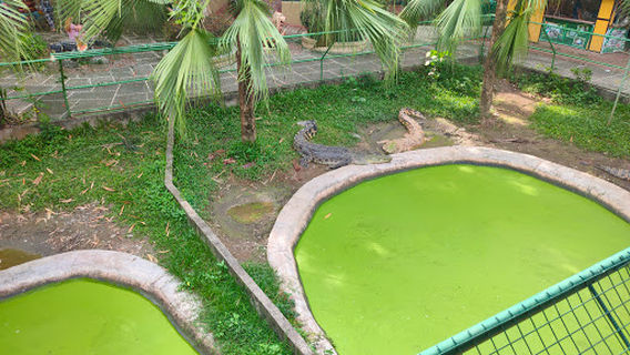 Davao Riverfront Crocodile Park & Zoo