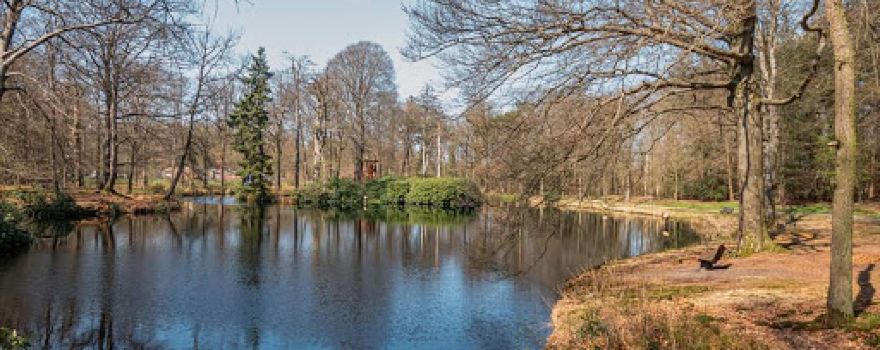 Koepelbosch