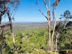 Hurdle Gully Lookout