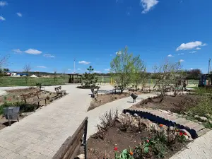 Zona Vidpochynku Zarichchya