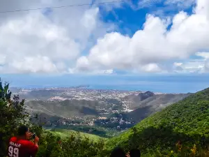 Cerro El Copey National Park