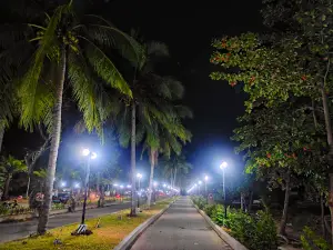 Bayawan city boulevard