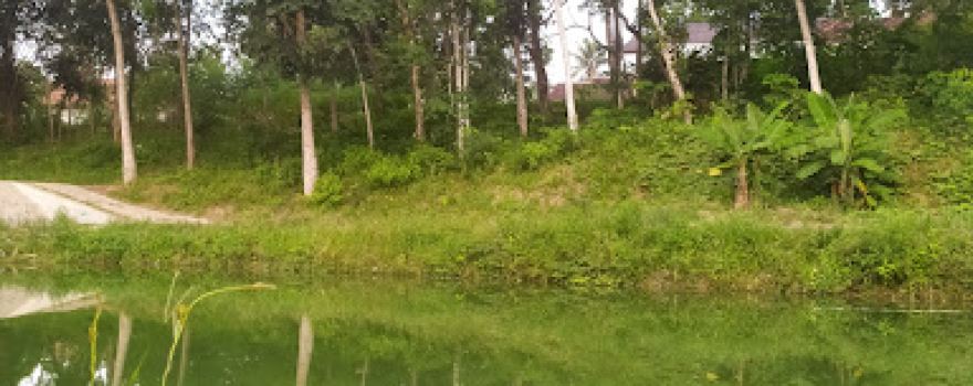Taman wisata Amarta Garden