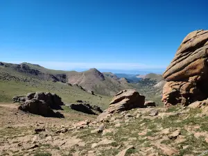 Devil's Playground
