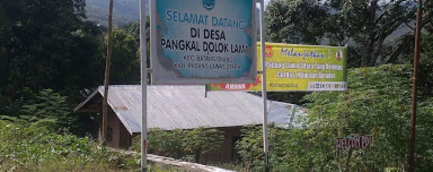 Desa Pangkal Dolok Lama