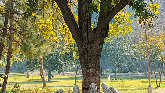 Bagh-e-Jinnah