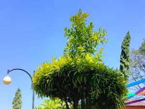 Taman Kota Kebumen