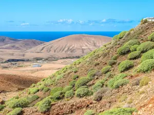 Mirador del Risco de Las Peñas
