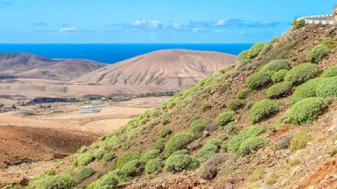 Mirador del Risco de Las Peñas