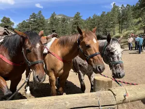 National Park Gateway Stables