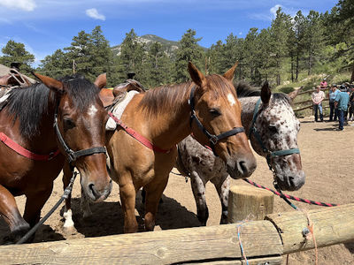National Park Gateway Stables