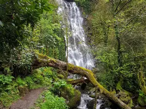 Waterfall Mirveti მირვეთის ჩანჩქერი