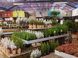 Intratuin Heerhugowaard B.V.